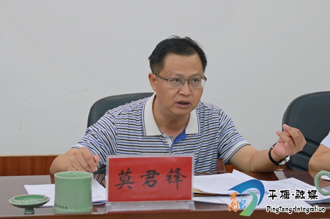 县委副书记,县长莫君锋讲话